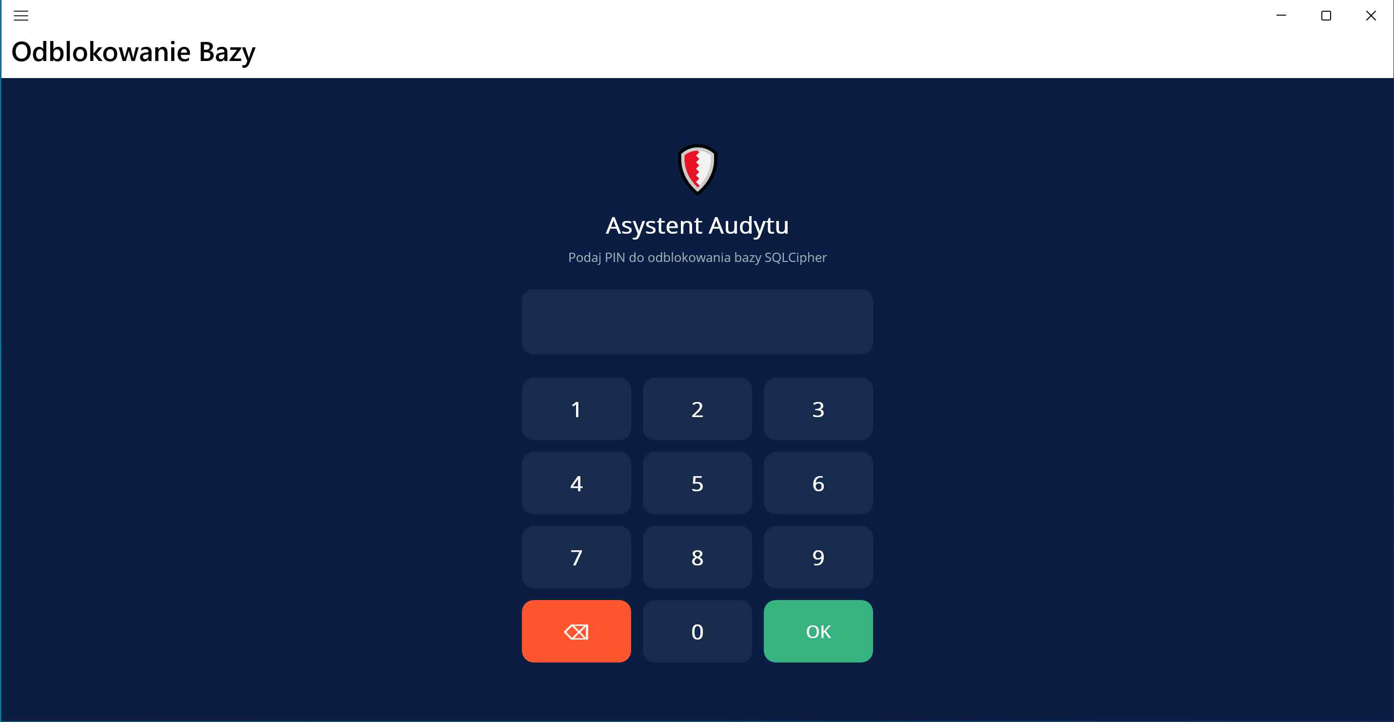 Audytor 1